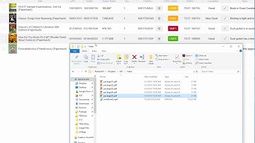 How to Print Multiple UPS Shipping Label with TurboLister for Amazon FBA Shipment