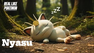 Real Life Pokémon Nyasu The Journey Of A Cat Who Wanted To Be Human