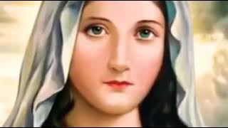 السلام لك يا مريم|حالة واتس مسيحية