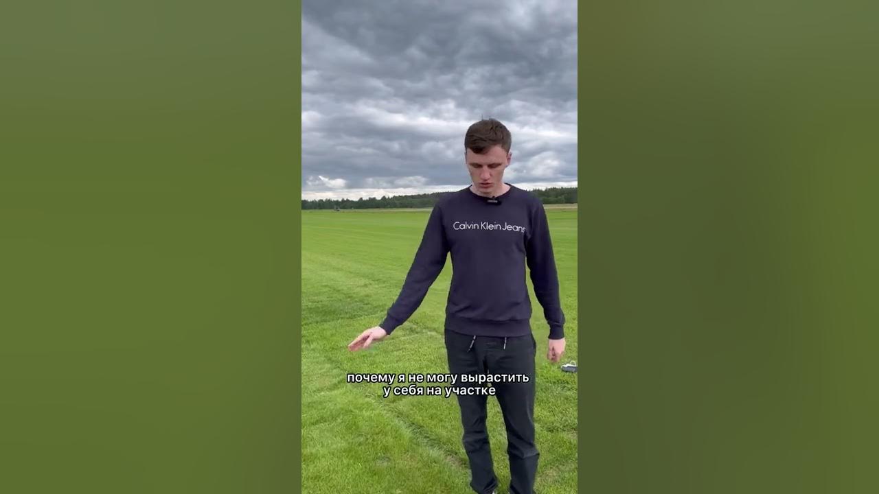 Газон из 100% овсяницы. Минусы и плюсы🌱 - YouTube