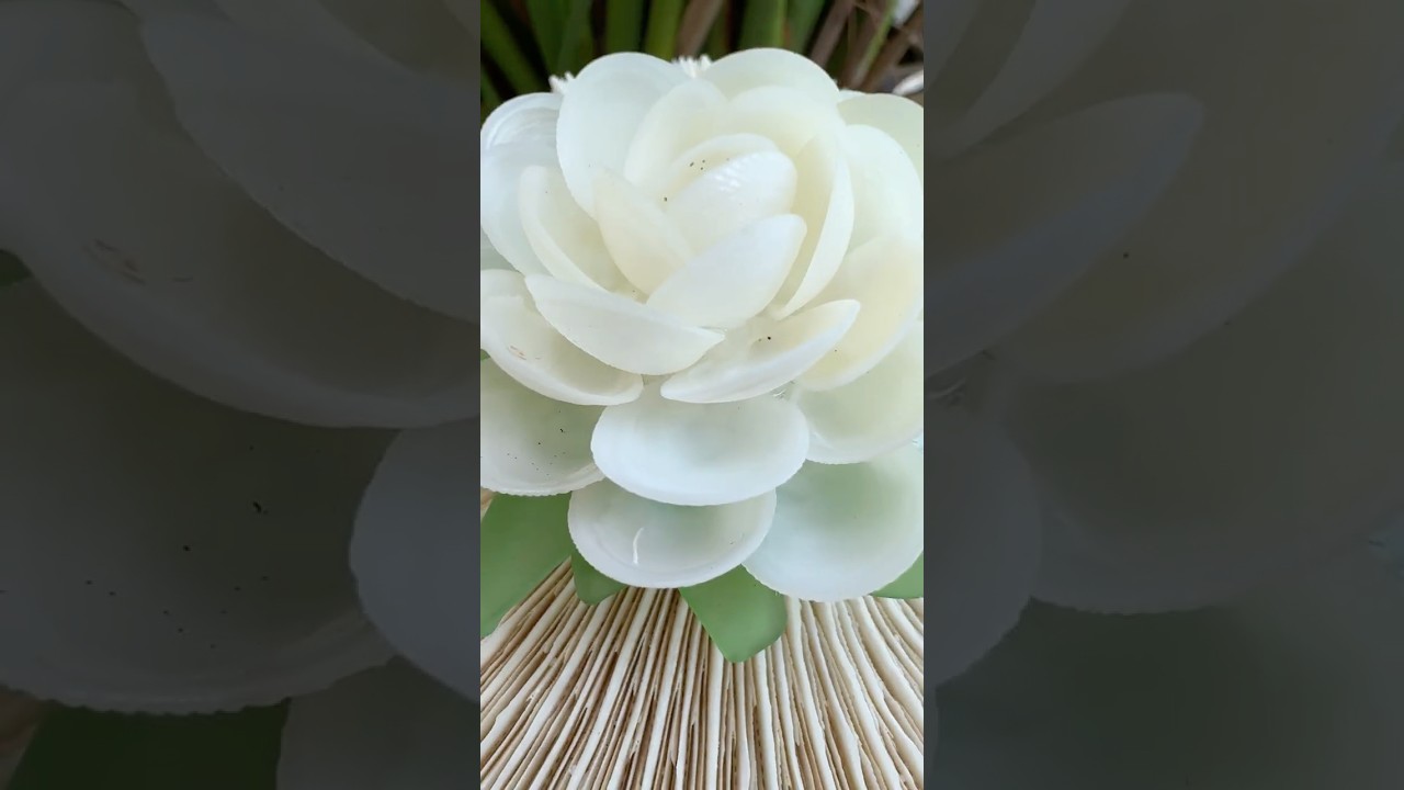 🐚Shell 🌸Flower LOVE THIS ONE!!