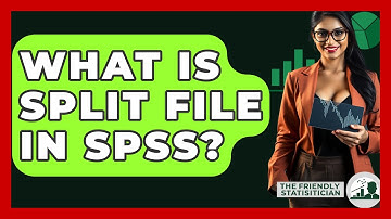 What Is Split File In SPSS? - The Friendly Statistician