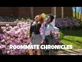 ROOMMATE TAG | ROOMMATE CHRONICLES