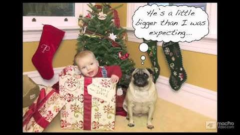 Photoshop CS5 103: Adding Text To Images - 02 Primary Types of Text Looks