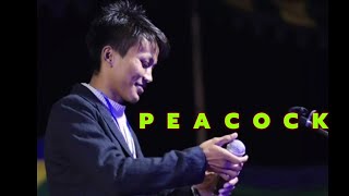 Robert Baite  Peacock latest Version  S  Leo Robertz Baitzee