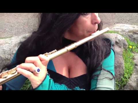 Axel F Beatbox Flute Viviana Guzman