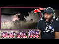 THE ANIMAL BATTLE ROYAL!! | 15 Merciless Animal Battles Ever Filmed ( The Fanatic ) | Reaction