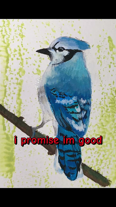 available in my linktree! https://linktr.ee/caaatsart