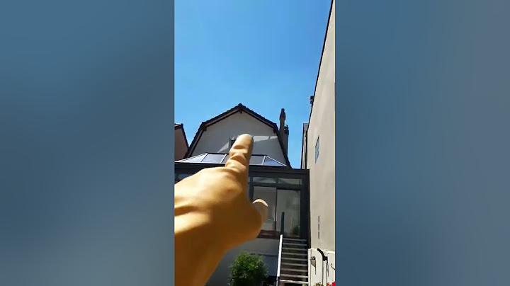 Énorme nid de frelons asiatique, le plus gros de l'année !
