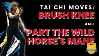 Tai Chi Moves: Brush Knee and Part the Wild Horse's Mane