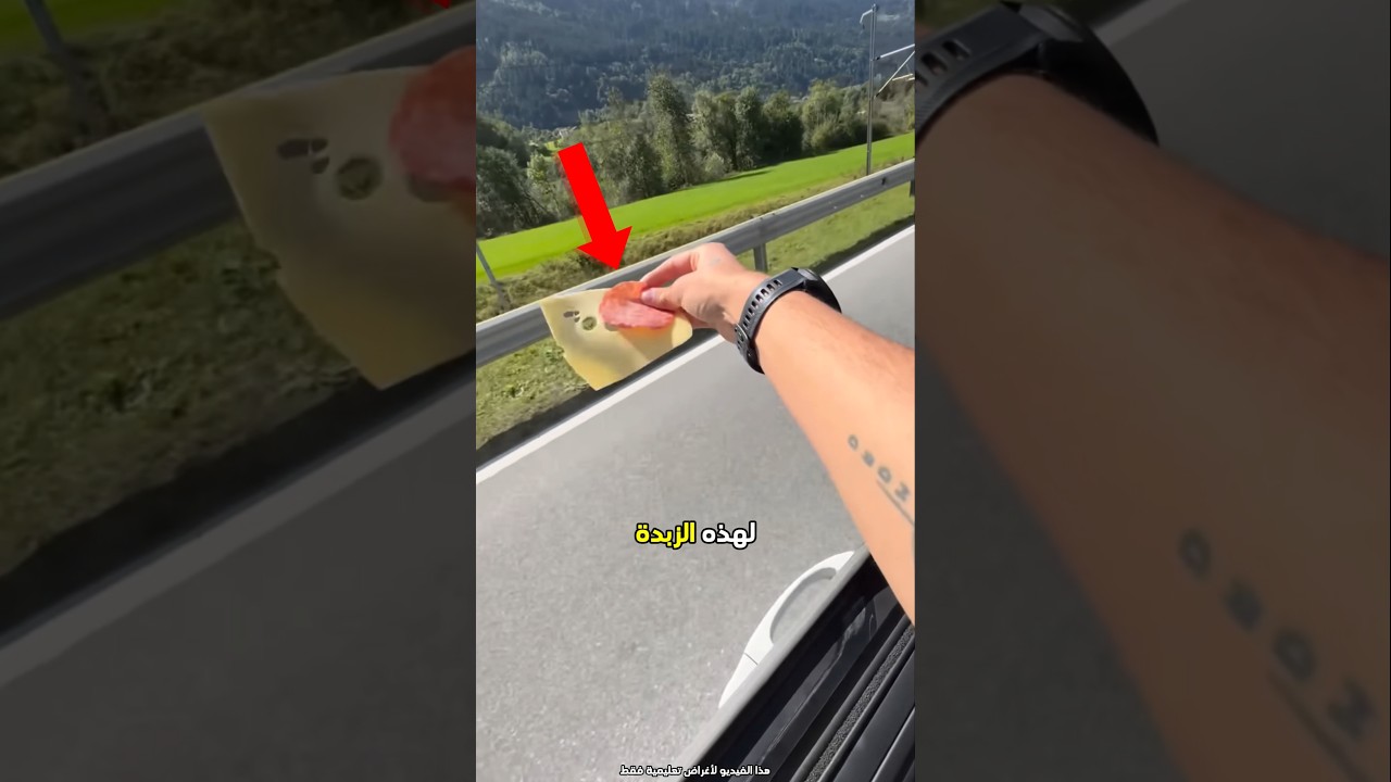 ساعده صديقه على الفوز بالسباق 😮 #shorts