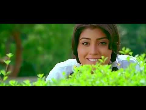 chatrapathi-movie-interesting-action-scenes-|-maa-cinemalu