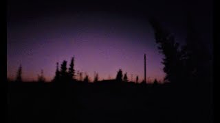 Download Guide To The Taiga Biome Novice Video MP3 Guide To The Taiga Biome Novice
