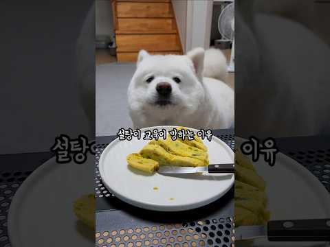 설탕이 교육이 망하는 이유 thumbnail