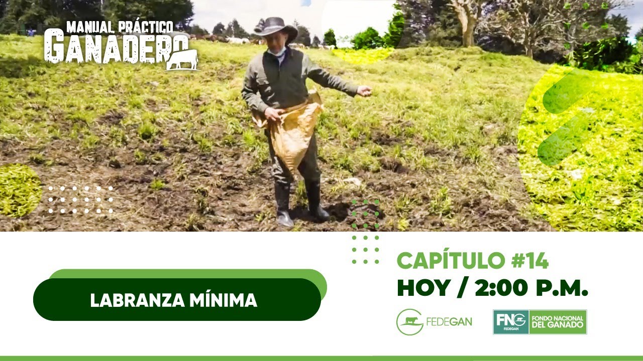14 capítulo - Labranza Mínima #ManualPracticoGanadero - YouTube