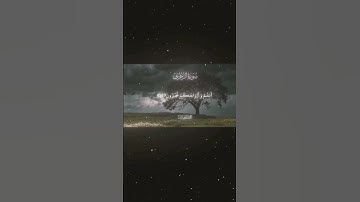 #quran #راحة_نفسية #تلاوة_خاشعة #تلاوة_هادئة #قران #قران_كريم #محمد_اللحيدان #القرآن_الكريم #اكسبلور