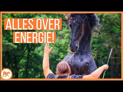 Wat is jouw energie?