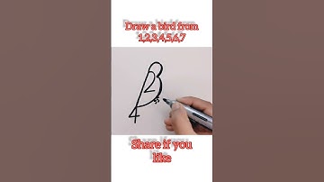 Draw a bird using numbers 1 to 7 #shorts #drawbird #birddrawing #howtodraw #drawing #easydrawing