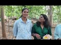 feedback in 4 languages