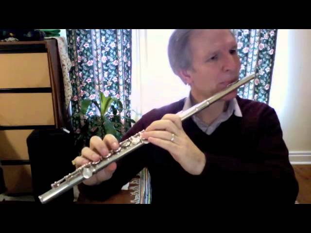 Yamaha YFL  Flute   Sleeping Beauty Waltz