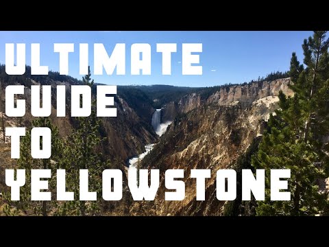 The Ultimate Guide to visiting Yellowstone National Park (Upper and Lower Loops)