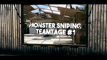 Monster Sniping TeamTage #1 By MsC Zed