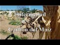 Enfermedad del Carbón del Maíz. Medidas a tomar.