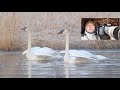 Winter Wildlife Photography -- Open Water Wildlife Oasis!