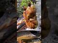 Chikkenfry Chickendish Beeffry Cooking Cookingfood Viral Foodpreparation Recipe Outdoorac Chikkenfry Chickendish Beeffry Cooking Cookingfood Viral Foodpreparation Recipe Outdoorac