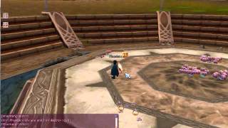 Flyff Colosseum- Fight to the Death by Phantom