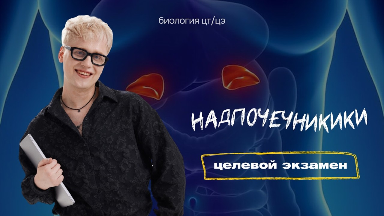 НАДПОЧЕЧНИКИ | Целевой экзамен