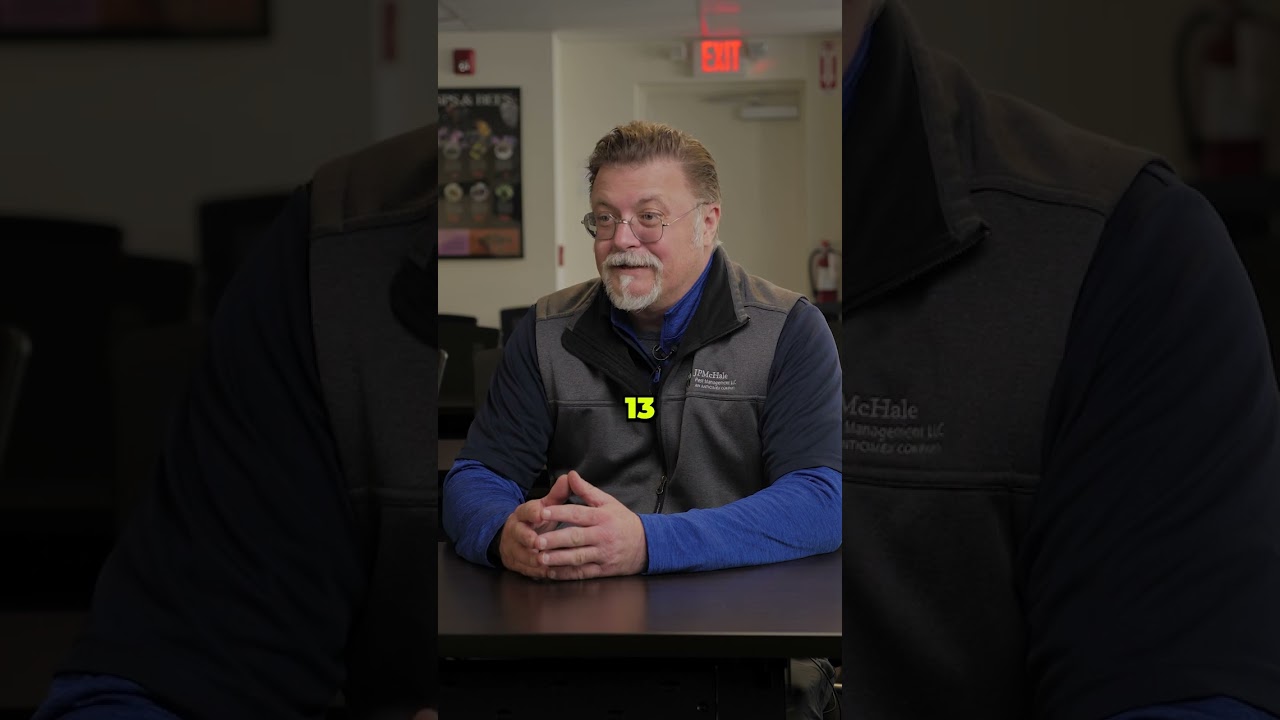 Cicada Killers vs MURDER HORNETS! 