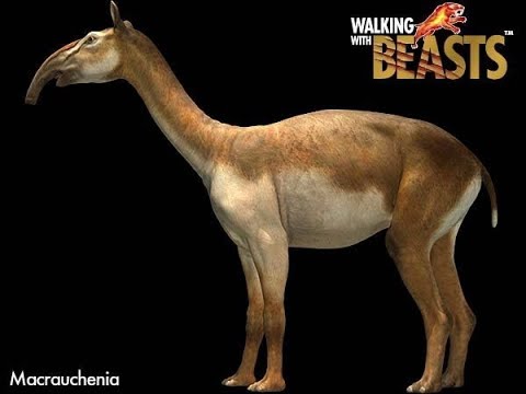 TRILOGY OF LIFE Walking With Beasts Macrauchenia 
