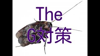【ゴキブリ 退治】ゴキブリ対策はハッカ油とこれ。カラダと環境に優しいG対策