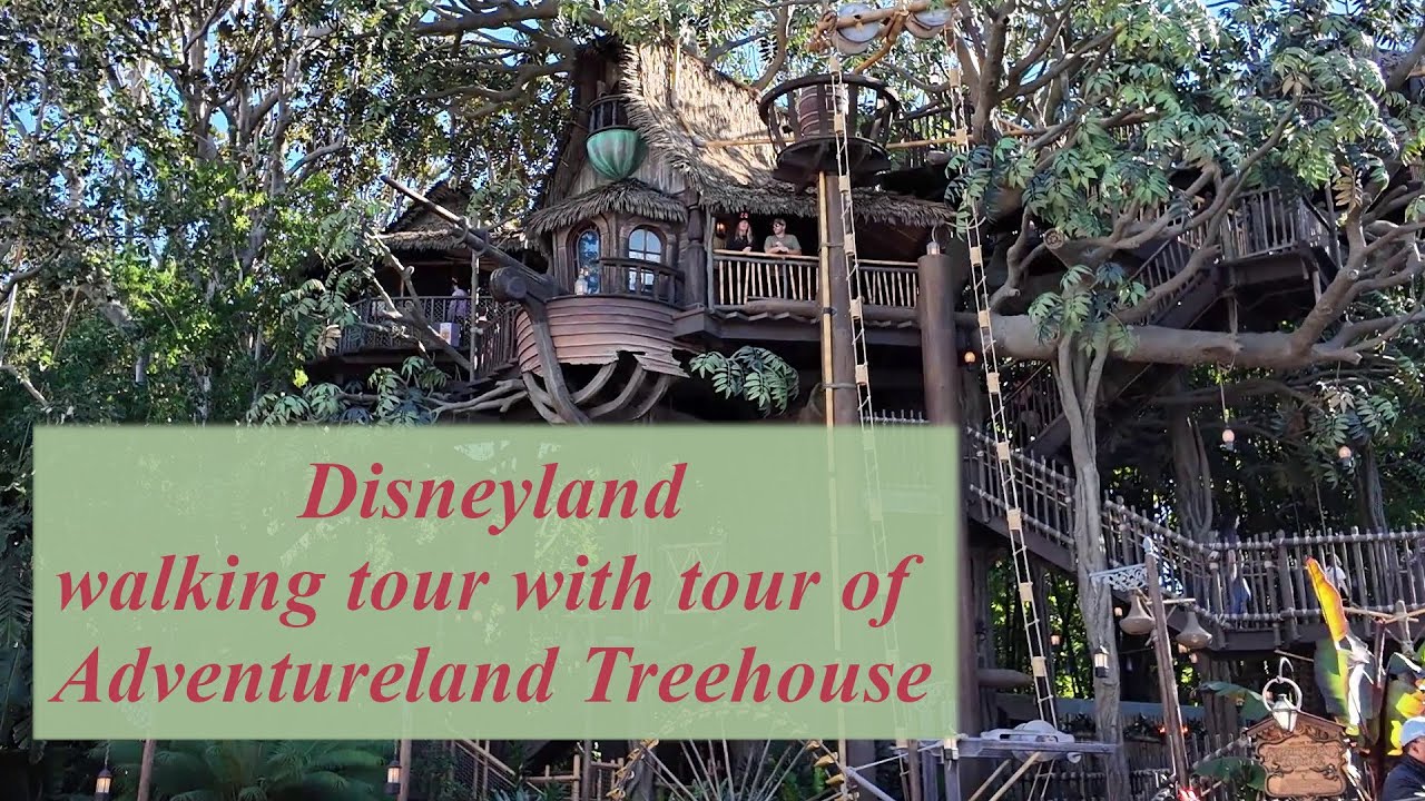 First walk of 2026 plus Adventureland Treehouse 1 14 2026