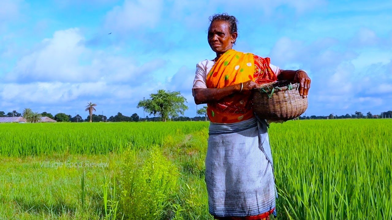 The struggle to survive for food of a santali tribe grandmother | village grandma's daily lunch