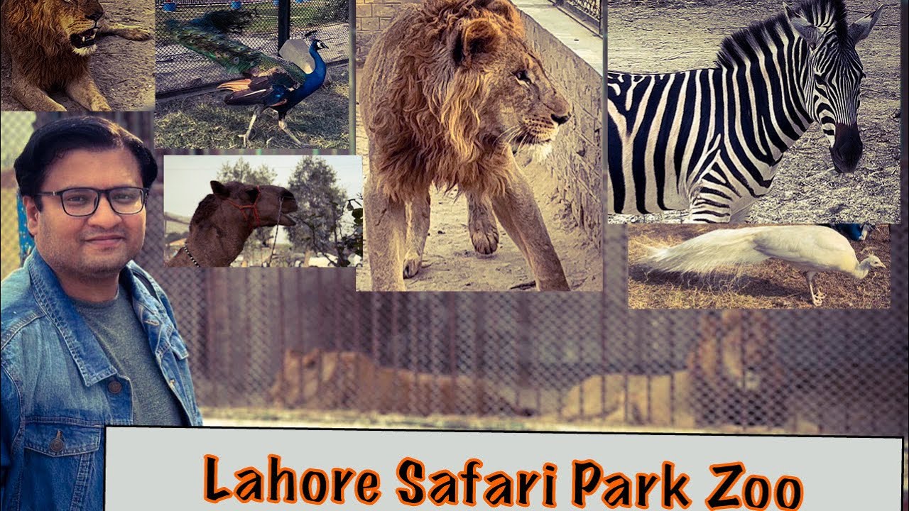 Lahore Safari Park Zoo A Visit And Detail Review Qasim Nisar YouTube lahore-safari-park-zoo-a-visit-and-detail-review-qasim-nisar-youtube