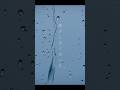 あなたはまだ“生きて”いますか？#音楽 #オリジナル曲