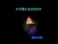 ただ愛に生きるだけ 朝田卓樹 Un Jour L'amour