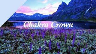 ► Chakra Crown Music  -1 Hour Best for Chakra Imporvement by TOOST MUSIC - Best World Music 754 views 3 years ago 1 hour