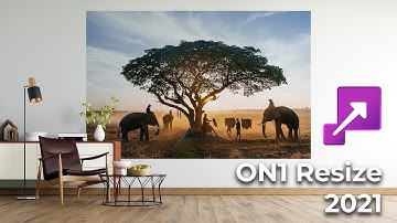 ON1 Resize 2021 Interface & Workspace Quick View