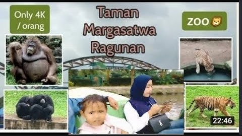 Kebun Binatang Ragunan