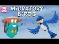 Migratory Birds: Journeys Across Borders and Seasons