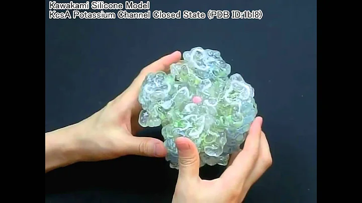 Kawakami-Model Demonstration KcsA Potassium Channel