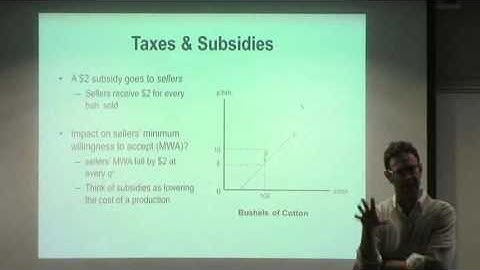 NEIU ECON Lecture Series 6 (Part 7): Subsidies