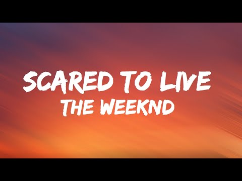 The Weeknd - Scared to Live (lyrics)