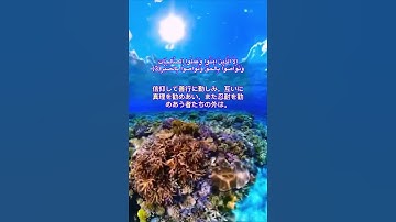 سورة العصر مترجمة باليابانية                 時間にかけて（誓う）。               القارئ عبدالباسط عبدالصمد