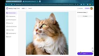 Monica Ai Animation Maker