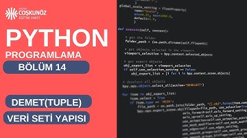 Veri Bilimi için Python | Demet(Tuple) ve Set Veri Yapısı Ne işe yarar ?