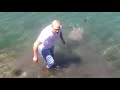 Man picks up massive jellyfish with his bare hands
